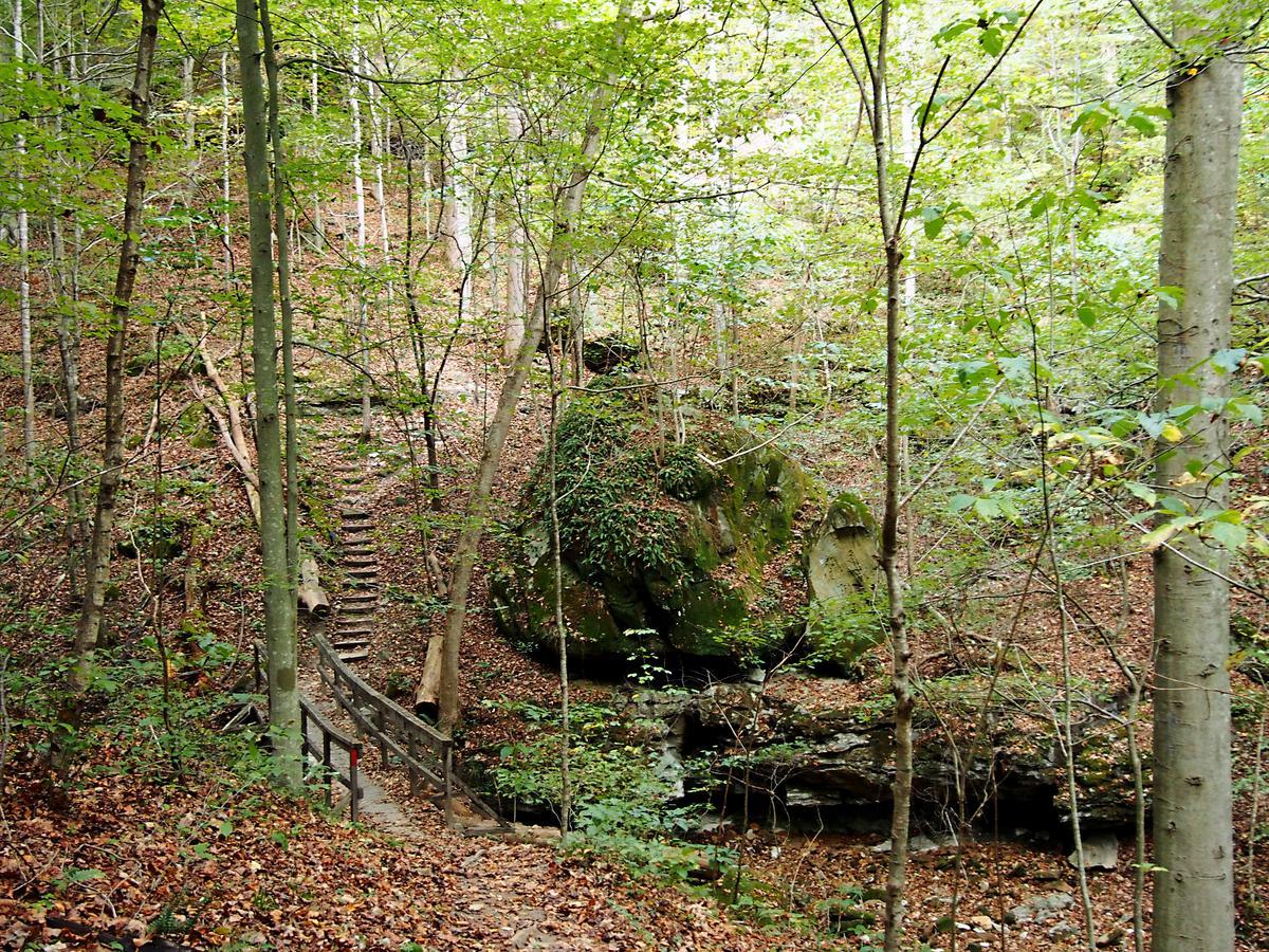 Carter Caves State Resort Park Olive Hill Buitenkant foto